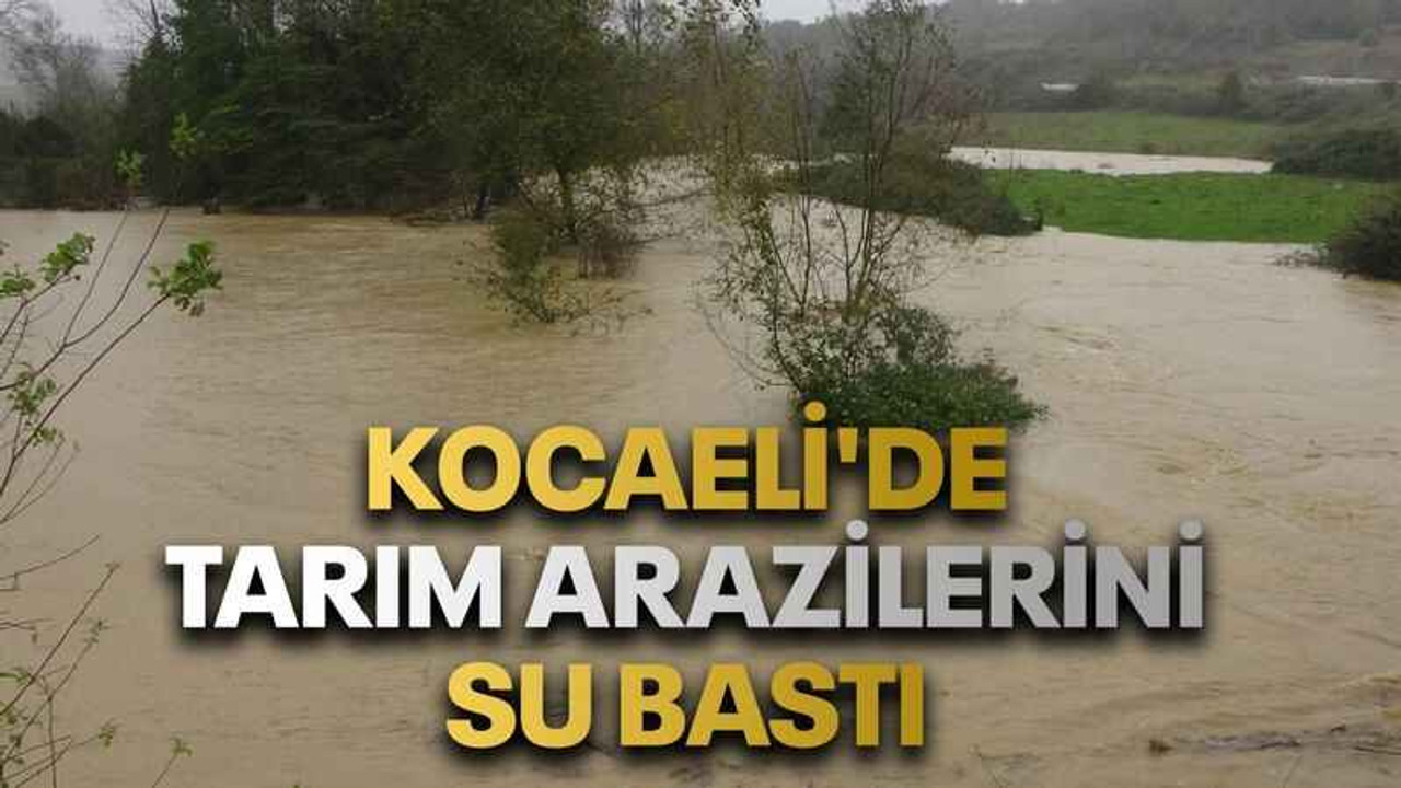 Kocaeli'de tarım arazilerini su bastı